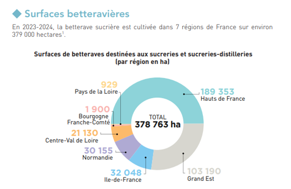 Surfaces de betterave sucrière (en hectares) en France par région (Source : Agreste, Cultures Sucre)