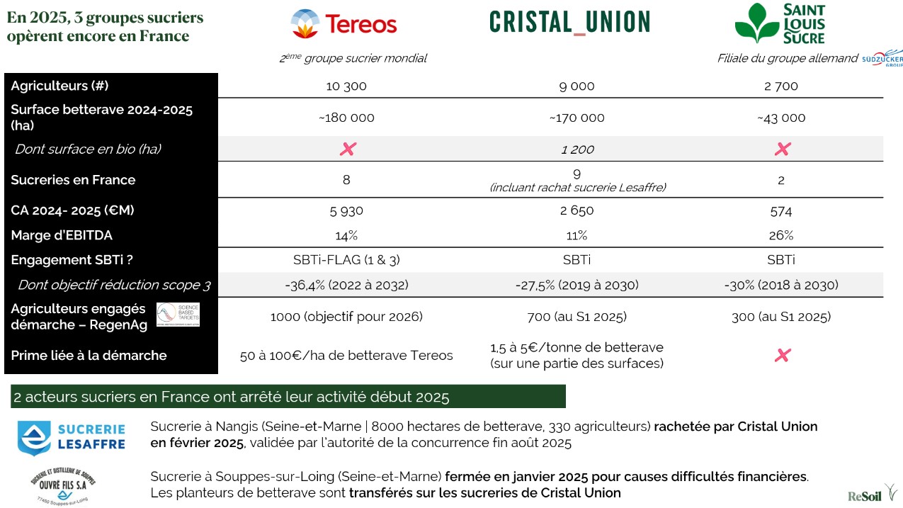 Tableau comparatif des 3 groupes sucriers présents en France en 2025 (Source : ReSoil)