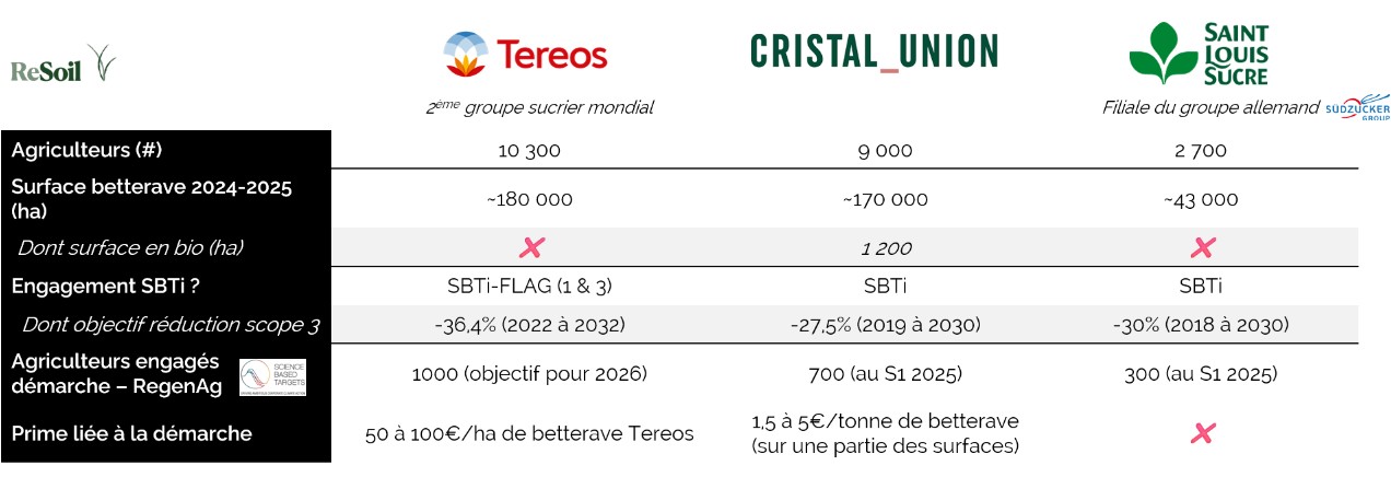 Tableau comparatif des 3 groupes sucriers présents en France métropolitaine en 2025 (Source : ReSoil)