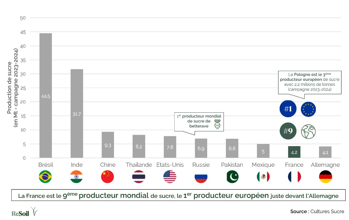 Classement du top 10 des pays producteurs de sucre - campagne 2023-2024 (Source : Cultures Sucre)