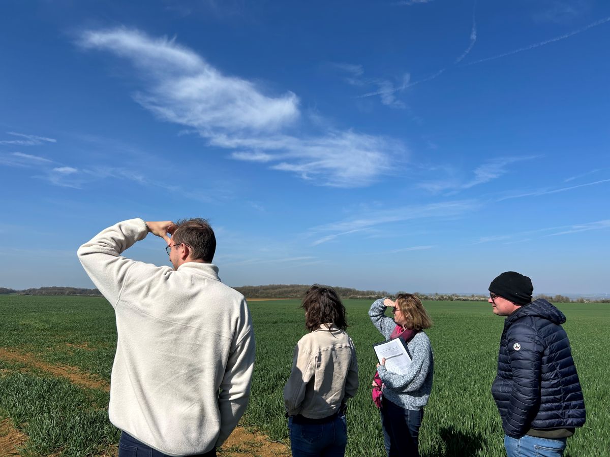 Tour de plaine dans un champ de blé chez Bastien (©ReSoil, 2025)