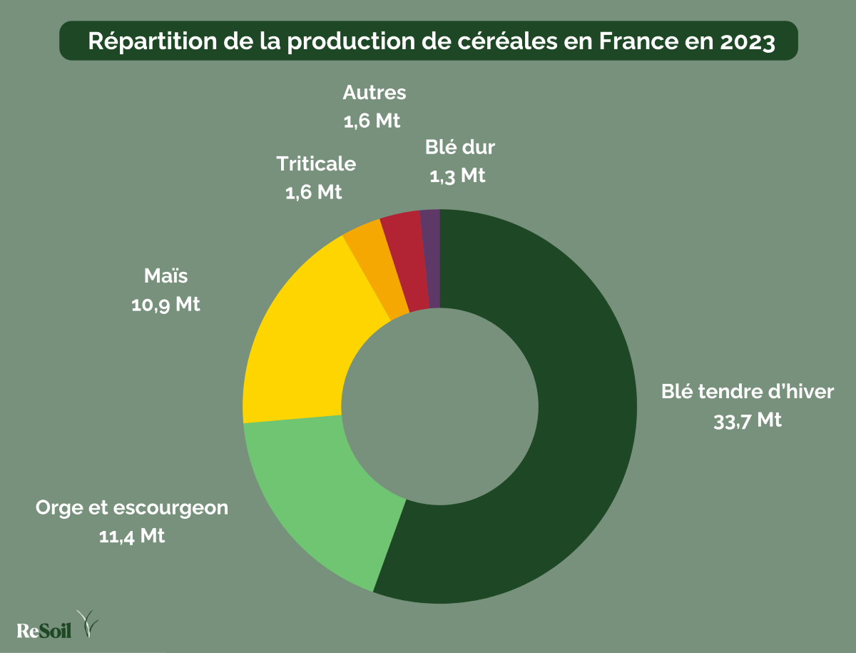 Productions céréalières françaises en 2023 (Source : FranceAgriMer, 2023)