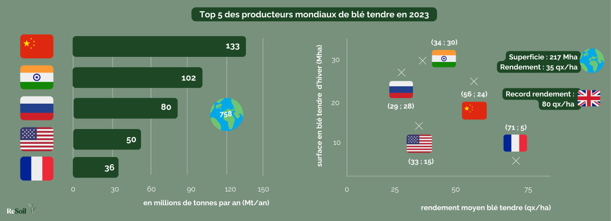 Top 5 des producteurs mondiaux de blé tendre en 2023 (Source : Solagro)
