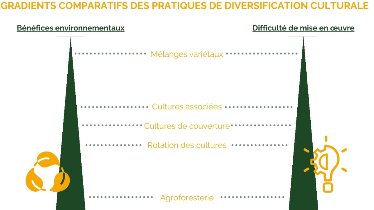 Gradients comparatifs des pratiques de diversification culturale - Source : Analyse ReSoil sur base de l’INRAE