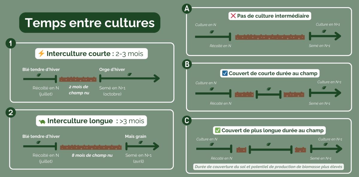 ‍Types d'intercultures et implantations de couverts (Source : ReSoil)