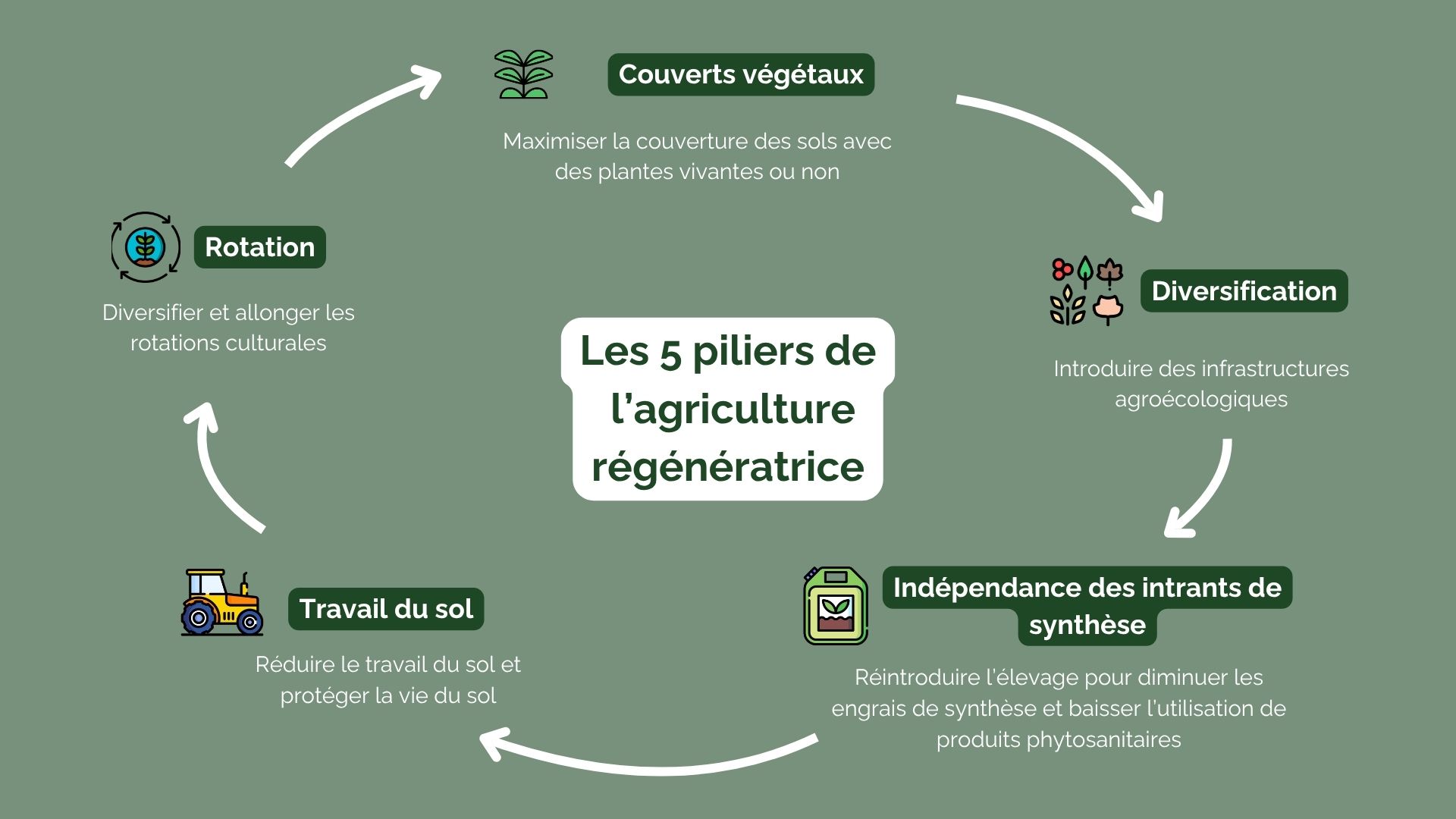 Les 5 piliers de l'agriculture régénératrice | Source : ReSoil