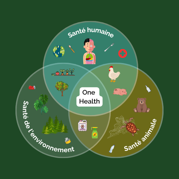 Principe OneHealth : respecter l'environnement, les animaux et les humains (Source : ReSoil)