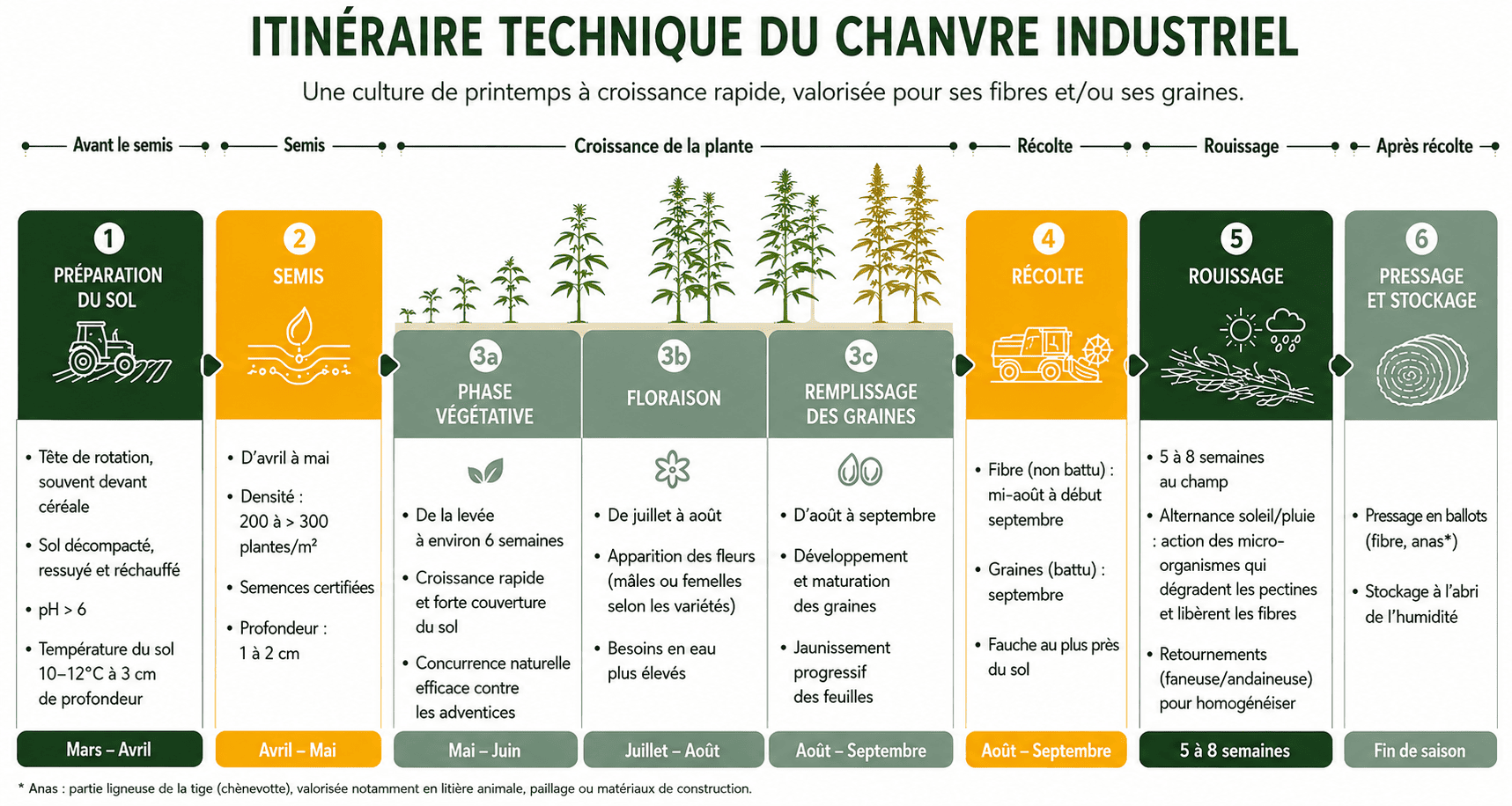 Itinéraire technique du chanvre industriel | Source : ReSoil