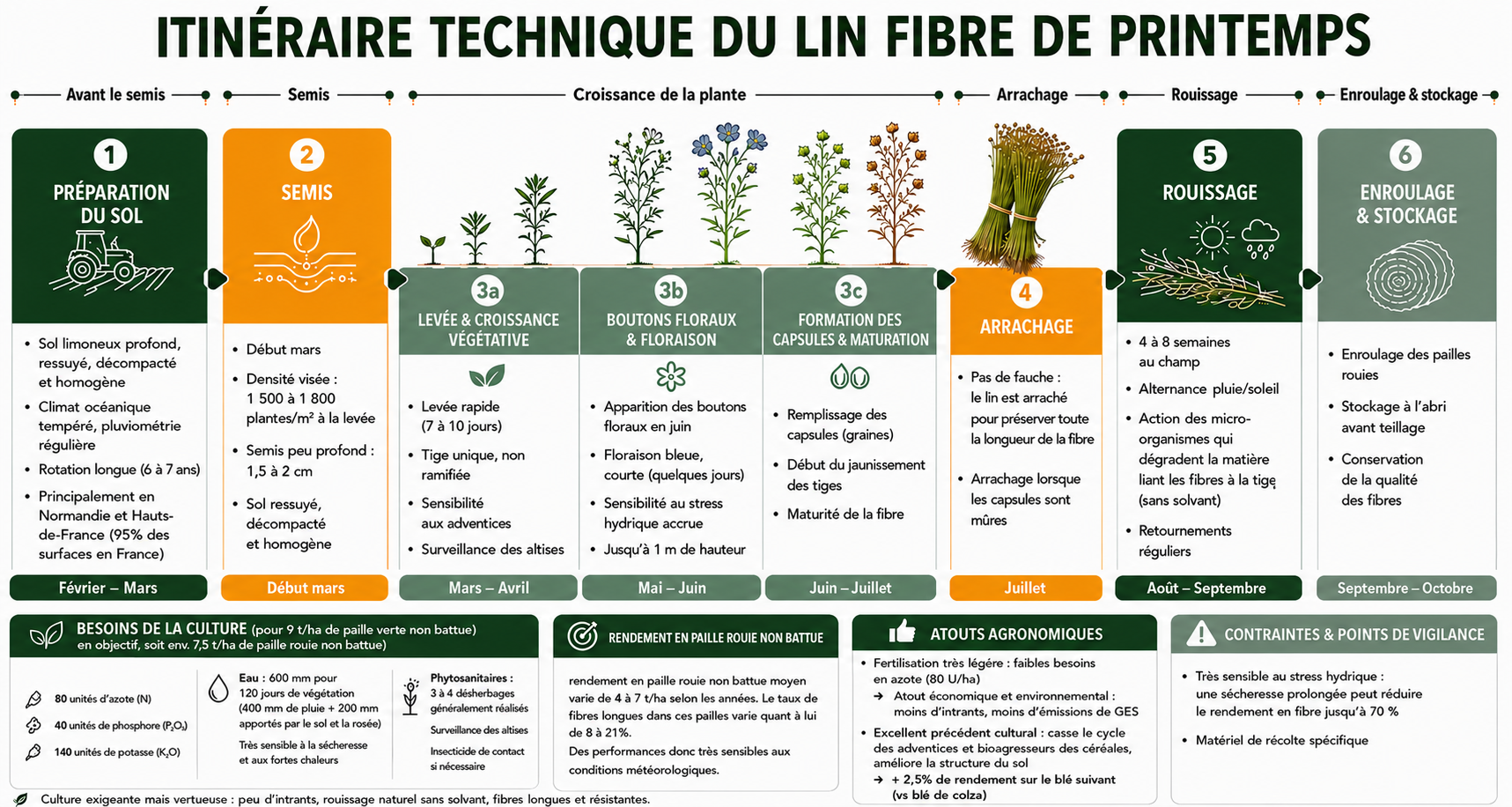 Itinéraire technique du lin