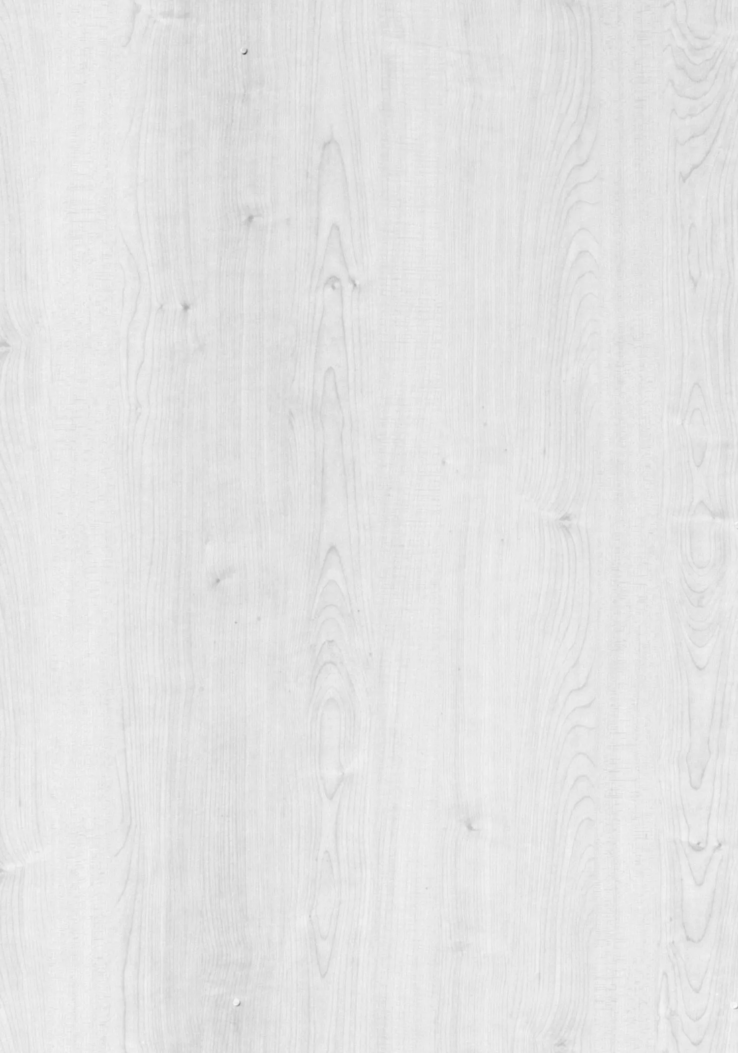 Texture albédo bois (érable) - couleur de base sans lumière ni relief ; calque de couleur dans un pipeline de déplacement PBR.