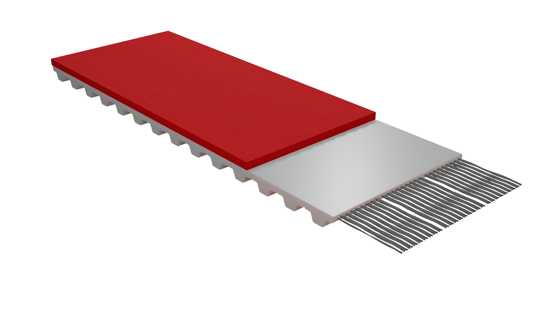 A cross section view of the TPEXclassic timing belt