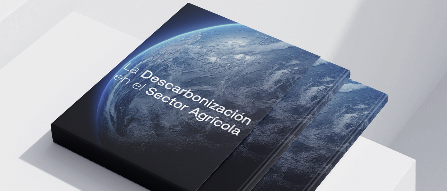 Herramienta de Mapeo de Datos de Sostenibilidad 2025.