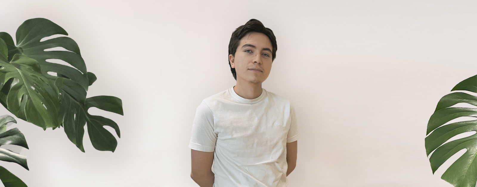 an image of the resource