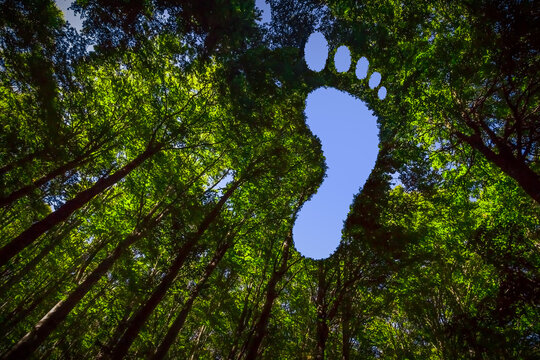 Carbon Footprint Images – Browse 369,174 Stock Photos, Vectors, and Video |  Adobe Stock