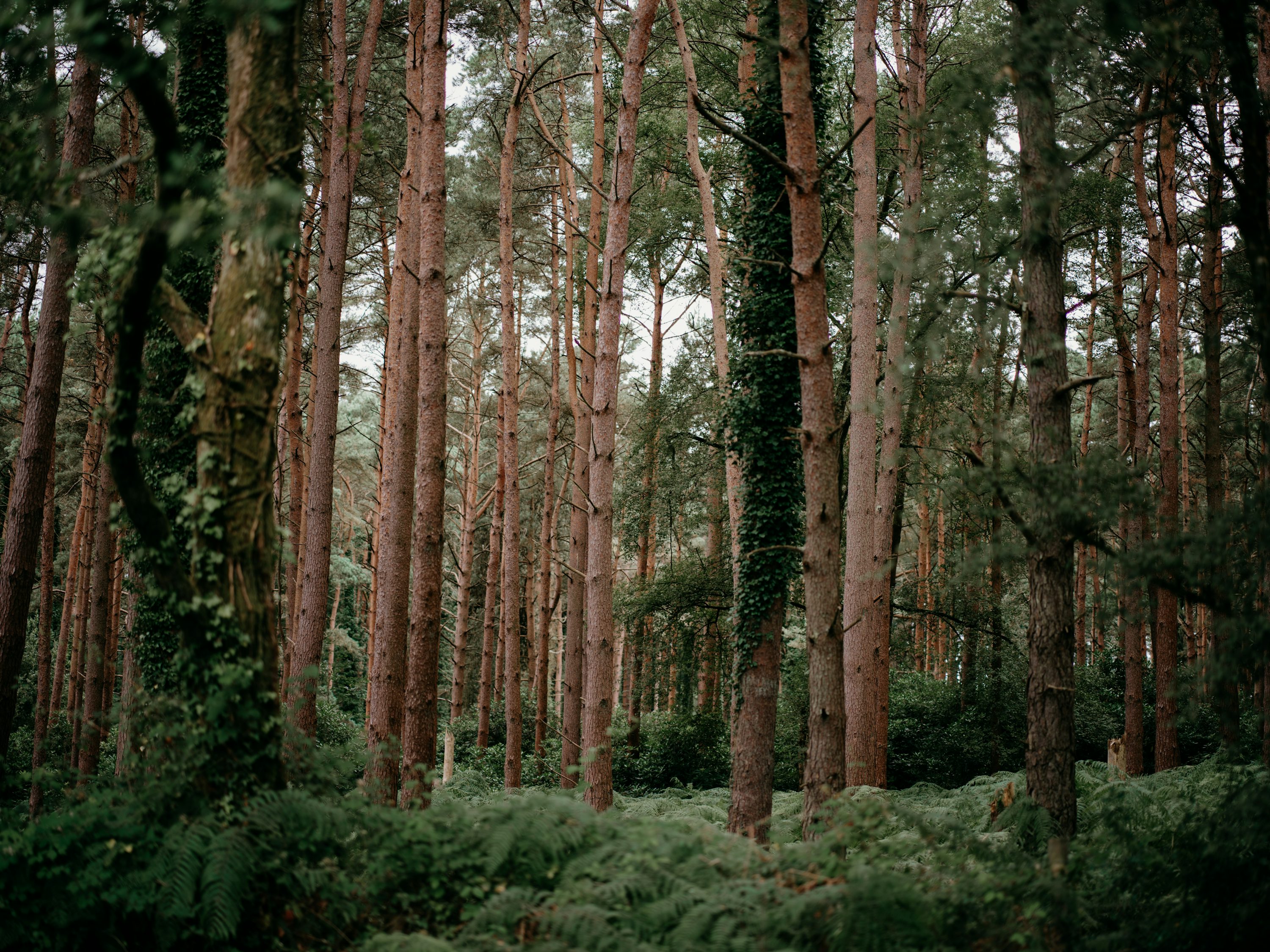 an image of the resource