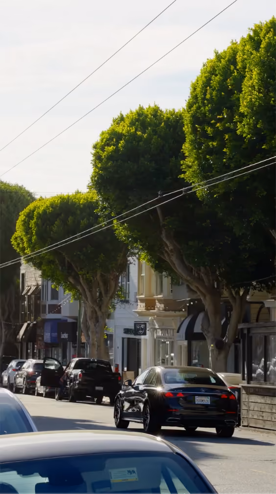 Street lined with large trimmed trees, parked cars, and shops on a sunny day.