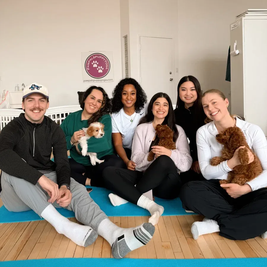 The Influence Agency team holding puppies at a puppy yoga team outing