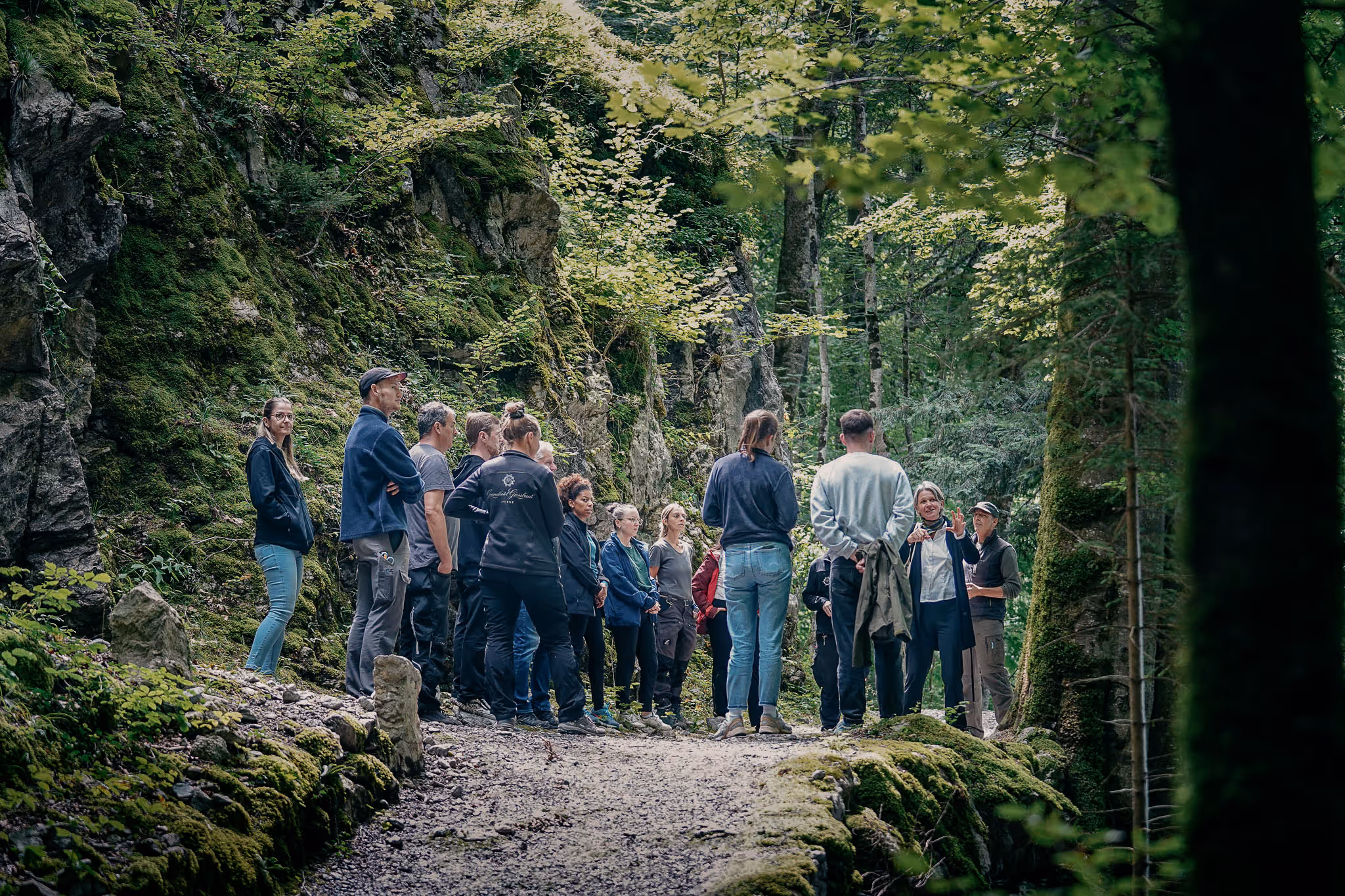 Gruppe von Menschen auf einem Waldweg, umgeben von moosbedeckten Felsen und Bäumen, die einer Führung zuhören.