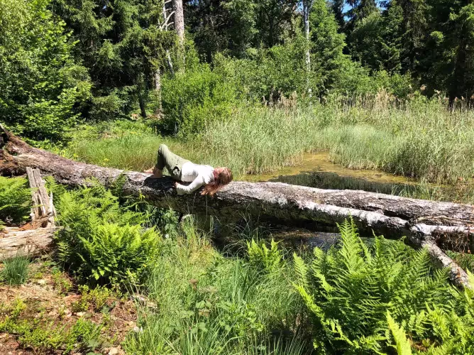 Eine Person liegt auf einem umgestürzten Baum über einem Teich in einem grünen Wald.