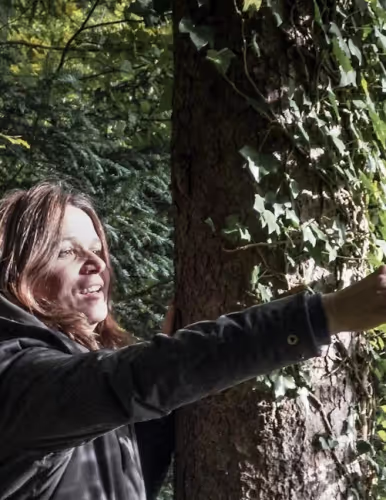 Frau berührt Baumstamm mit Efeu im Wald bei Sonnenlicht.