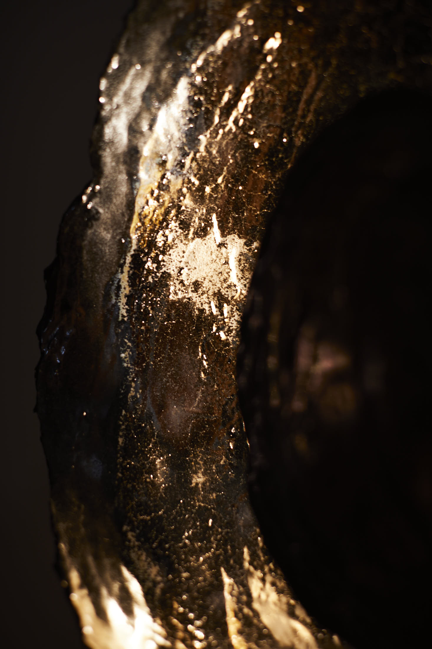 NL 3363 _0I3A1096 2200px.jpg