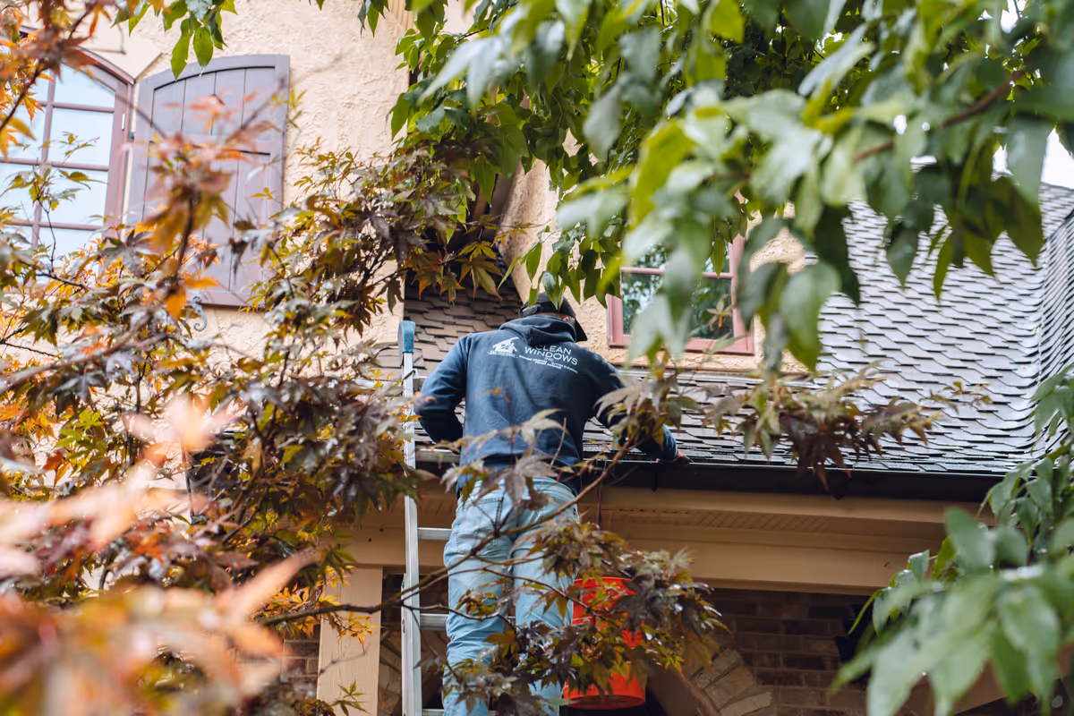 Gutter cleaning in progress.