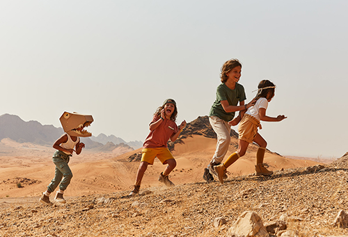 My Backyard Chronicles