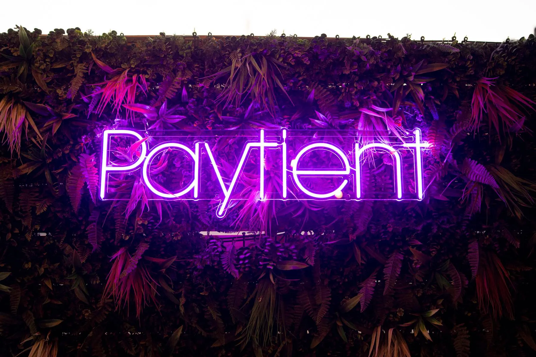 Paytient