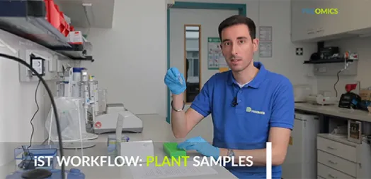 Step by step iST workflow to process plant samples