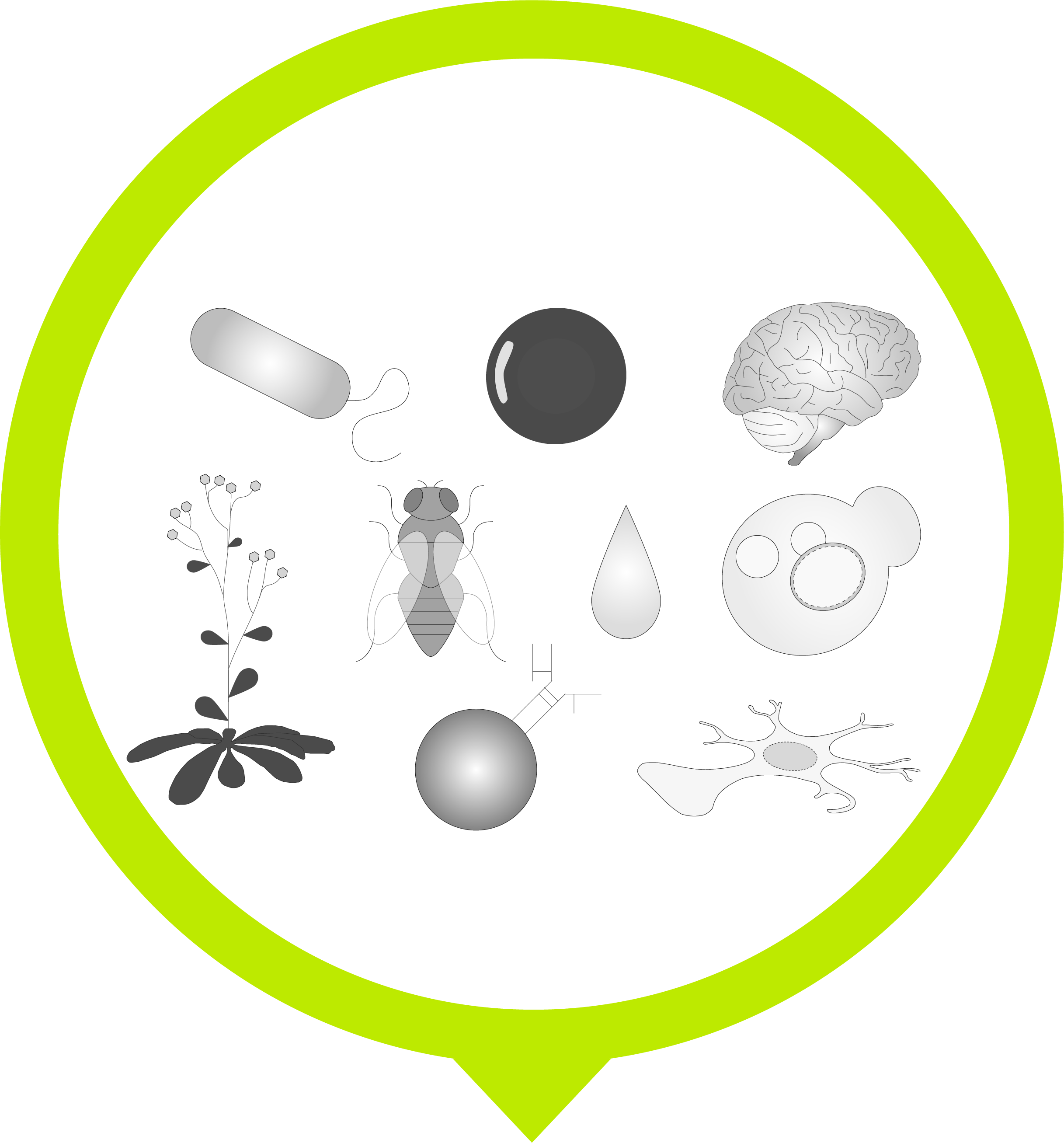 APP96 1