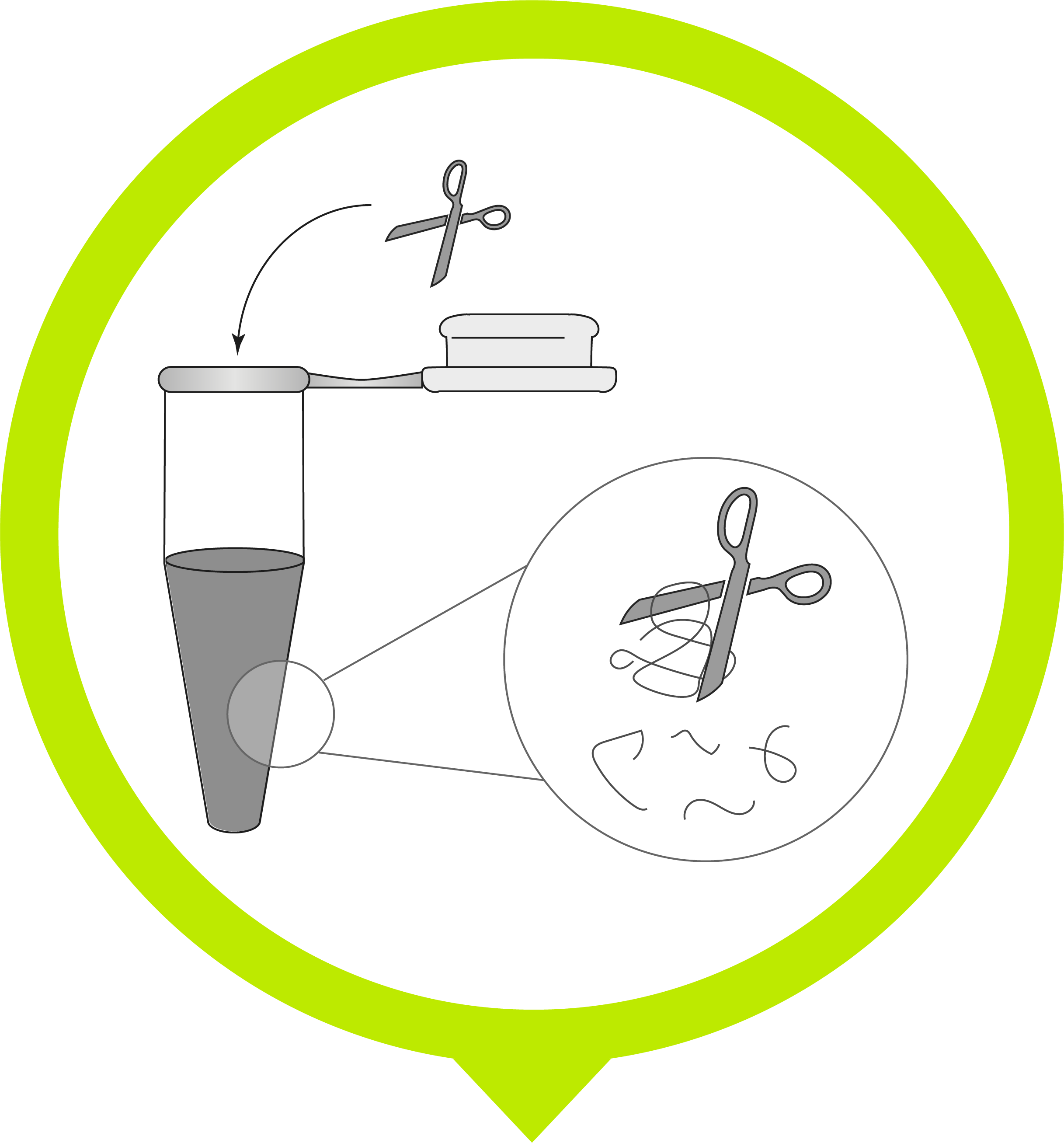 iST 3