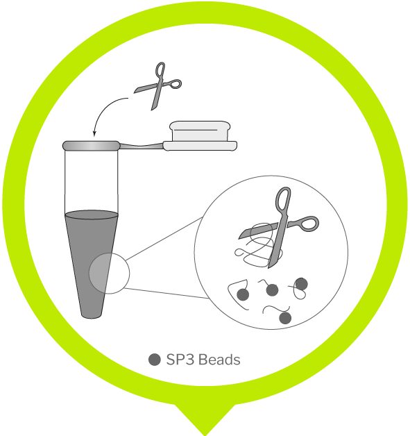 SP3 5