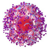 Cell lines preview image