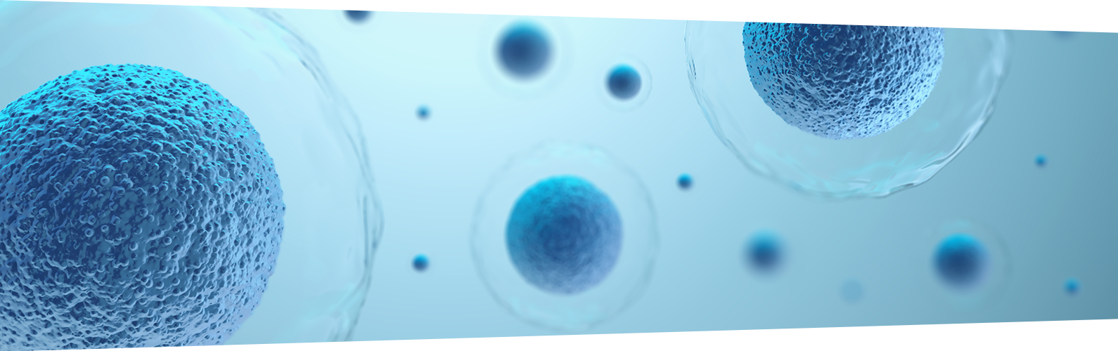 Advancing Chemoproteomics: High-Throughput Cell-Based Drug–Target Engagement Screening Using iST and LC-MS