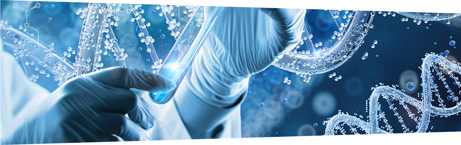 Biomarker Discovery in High-Dynamic Range Biofluids: A Smarter Approach for Plasma, Serum, and CSF