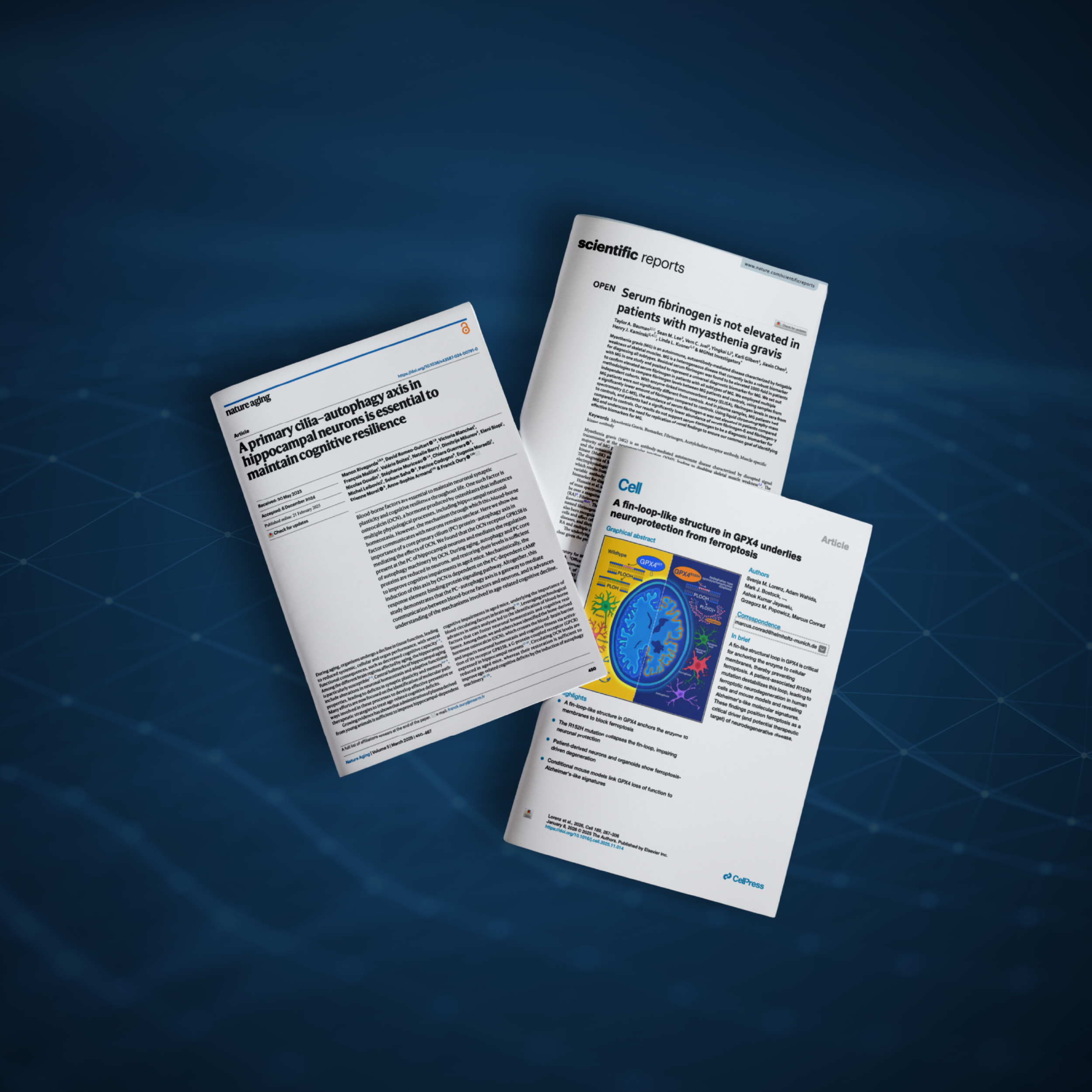 Blog card image for: 2025 in Review: Proteomics Discoveries That Made an Impact