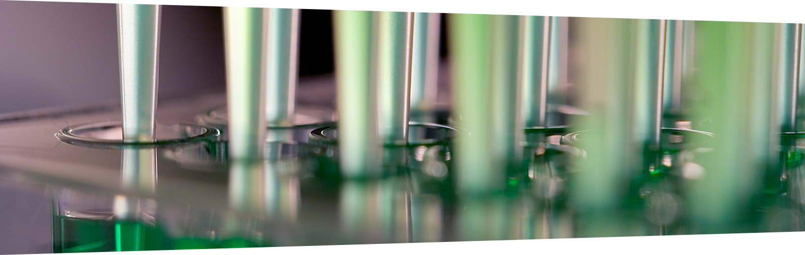 Key Benefits of Automated Protein Sample Preparation for LC-MS-based Proteomics
