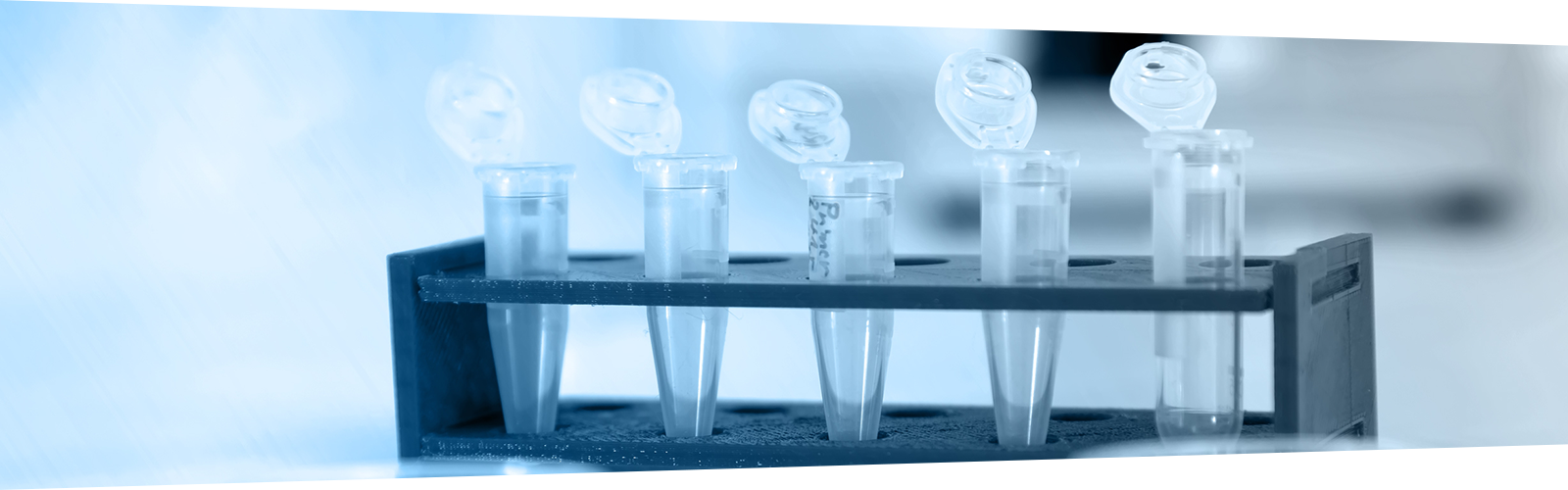 Automatable Bead-Based Protein Sample Preparation for Harsh Sample Matrices Using SP3®