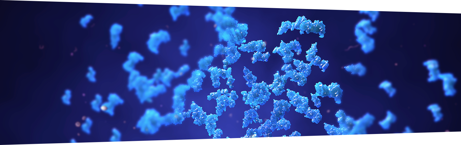 Key Considerations for Achieving Efficient & Reproducible Cell Lysis and Tissue Homogenization