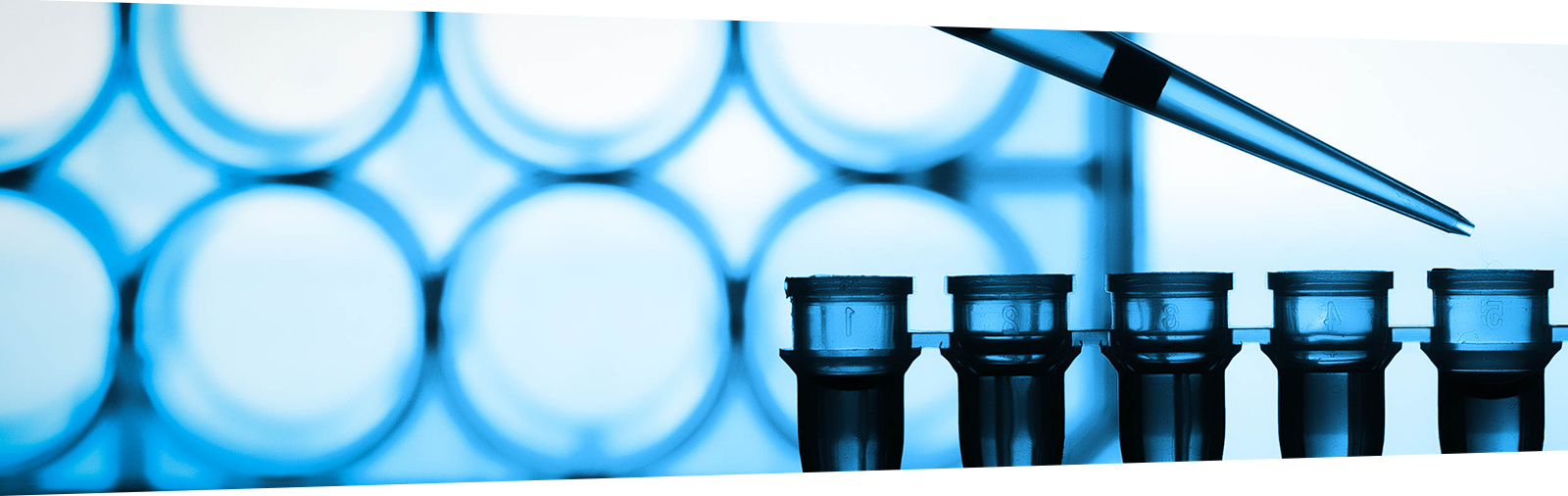 Optimizing Proteomics Sample Preparation for TMT Labeling: Maximizing Efficiency and Quantitative Accuracy