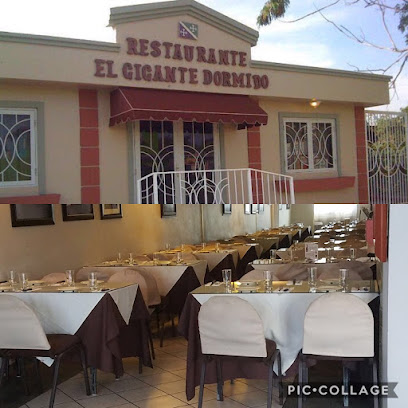 El Gigante Dormido business image