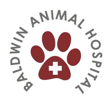 Image Link to business