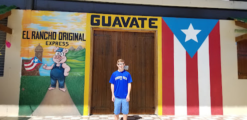 Lechoneras en Guavate business image