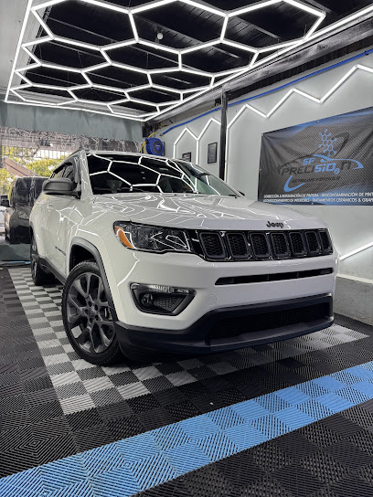 SF Precisio2n Detailing Formula business image