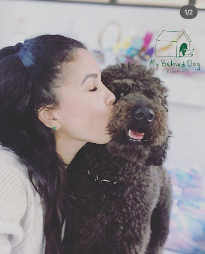 My Beloved Dog- Hospedaje Para Mascotas business image