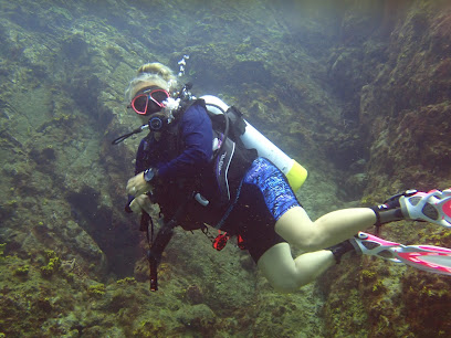 Island Style Scuba business image