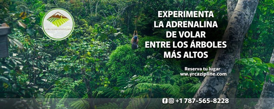 El Yunque Rainforest Corcovado Adventure Zipline Park business image