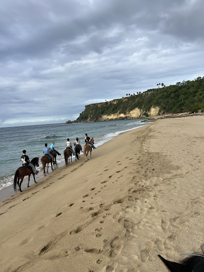Playuela's Horse Rides business image