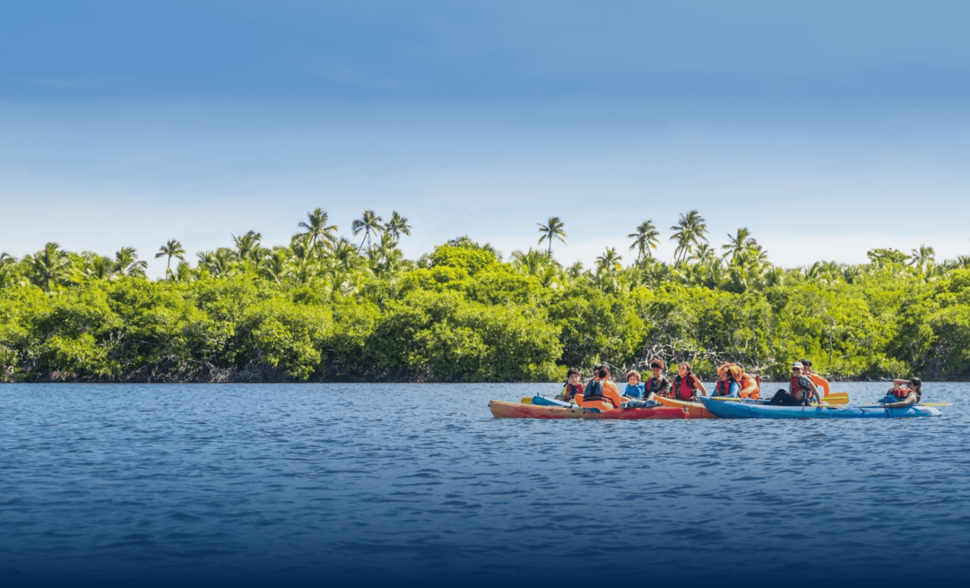 Eco Adventures Puerto Rico business image