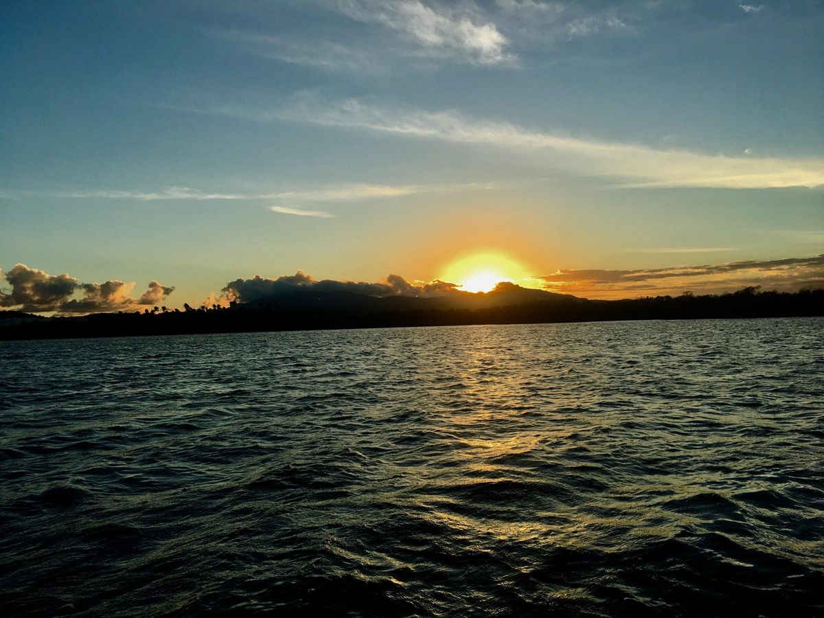 Puerto Rico Bio Bay Tours LLC. business image